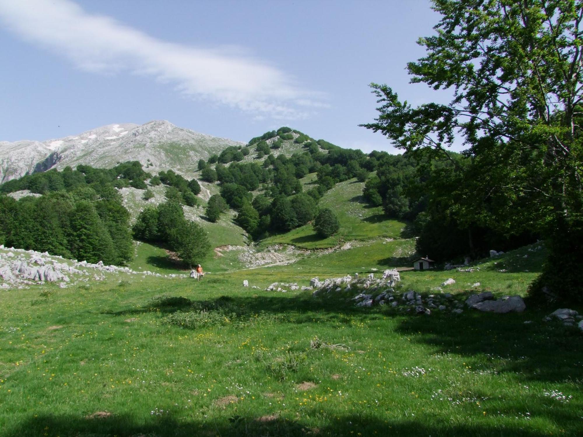 B&B Vivilmatese Roccamandolfi Exterior foto
