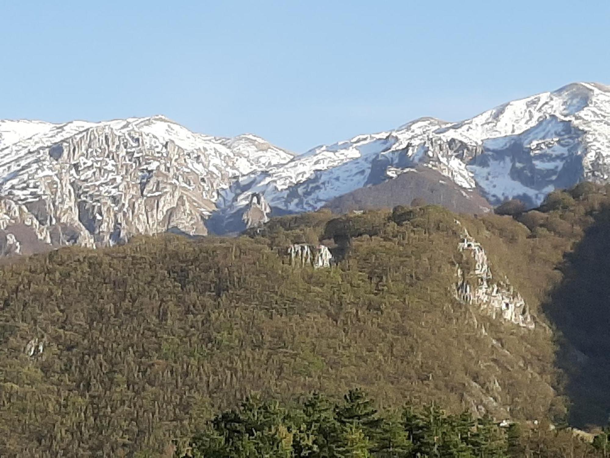 B&B Vivilmatese Roccamandolfi Exterior foto